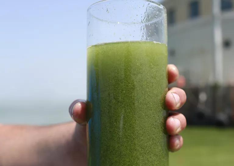 A person's hand holds a glass filled with a thick green liquid