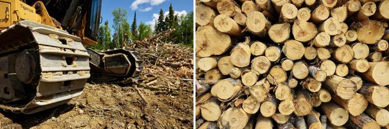 At left, heavy machinery in a clearcut patch of forest; at right, a close-upview of a stack of logs