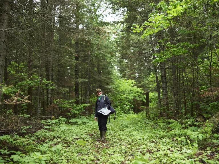 A woman holding a clipboard stands among the tall trees in a forest