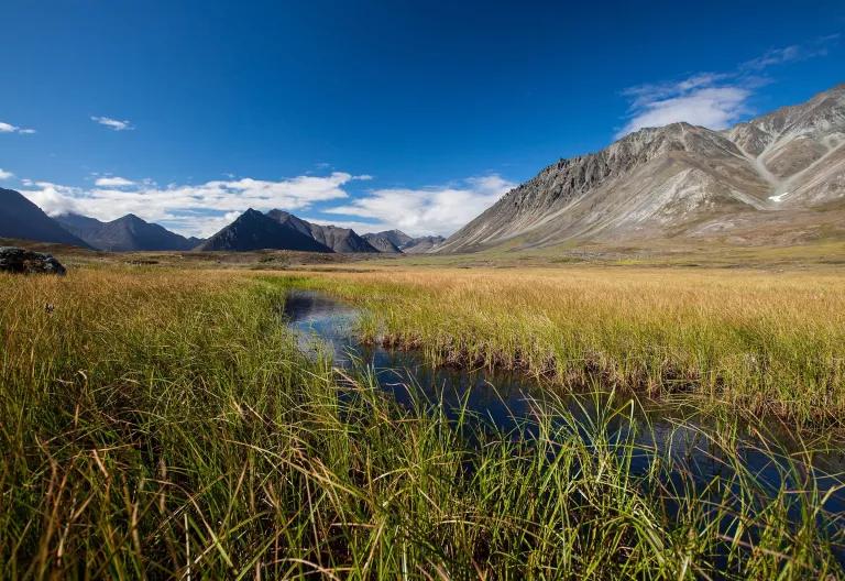 A river runs through a grassy valley with mountains in the distance