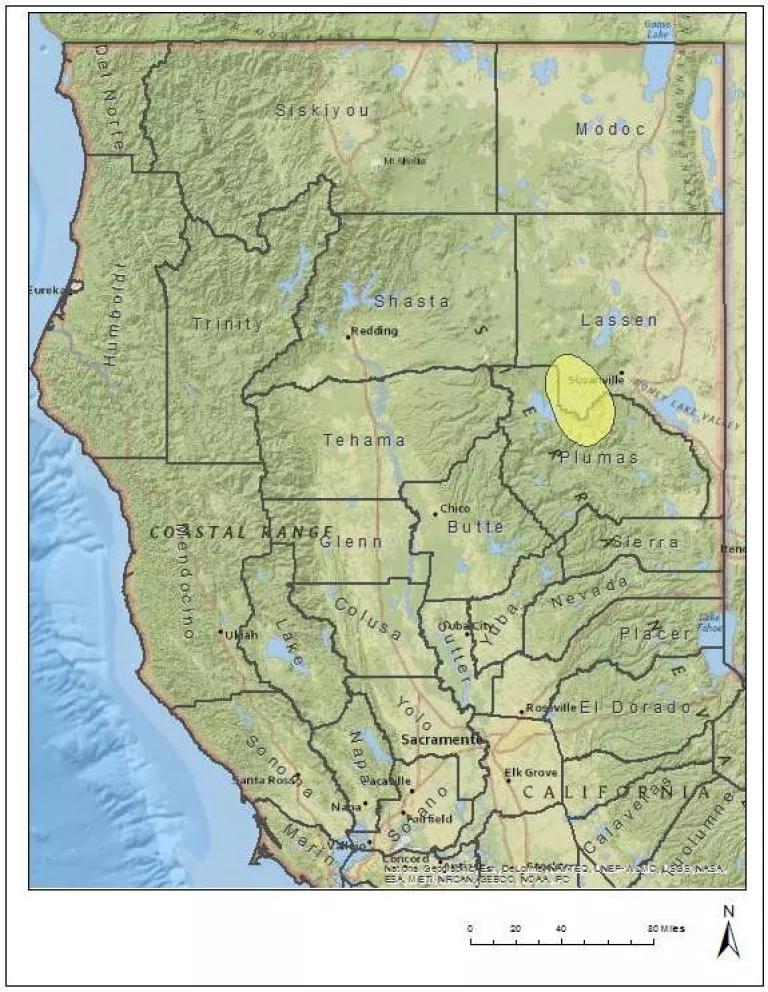 Gray Wolf Activity Map with areas in Lassen County highlighted