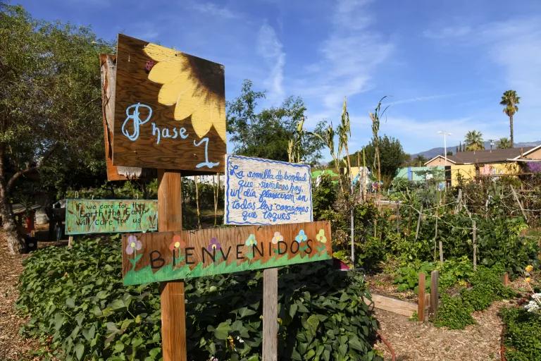 Painted wooden signs stand in the front of a garden