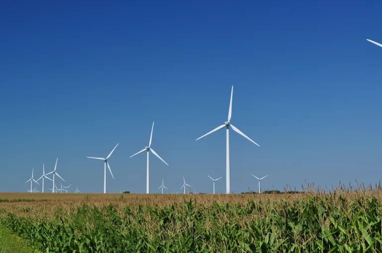 Wind turbines near an Illinois cornfield