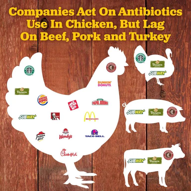 2017 Antibiotics Scorecard: Chicken passes, other meats fail