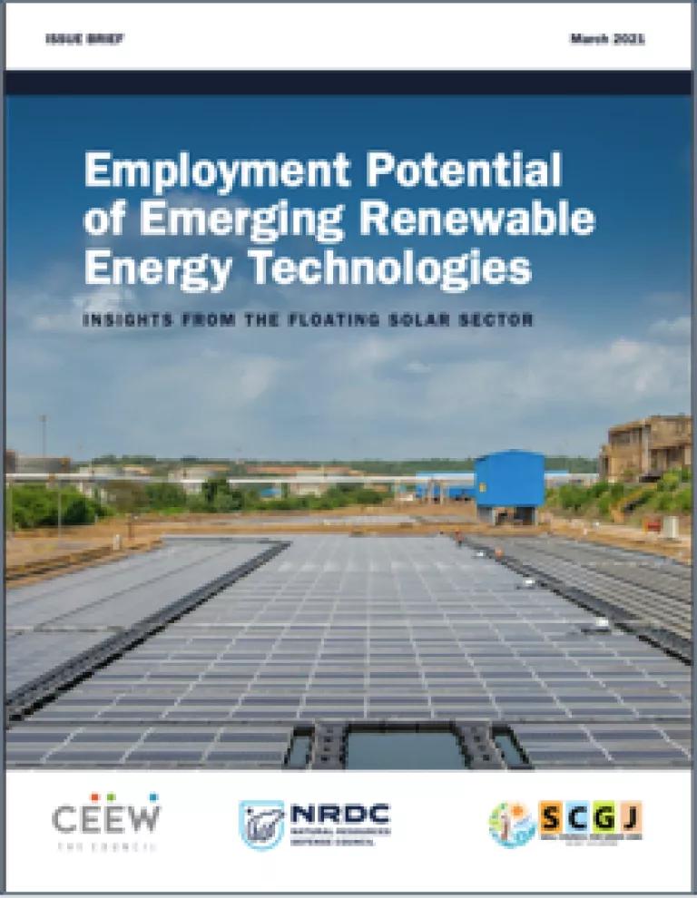 Employment potential of emerging renewables logo