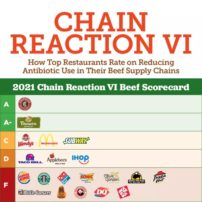 Chain Reaction VI Antibiotics Scorecard (2021)