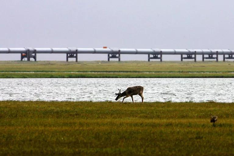 Arctic National Wildlife Refuge