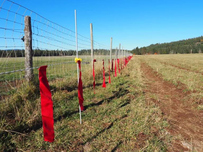 A long fence with red markers on it runs through grasslands