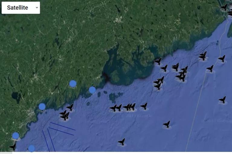 Right whale sightings map