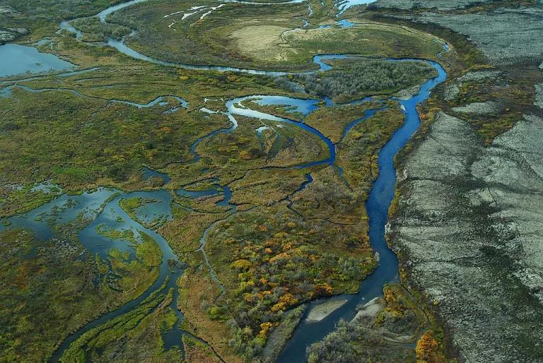 An aerial view of Bristol Bay in Alaska with small rivers and tributaries snaking through green land