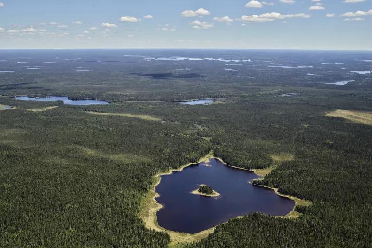 An aerial view of a large forested area with small lakes