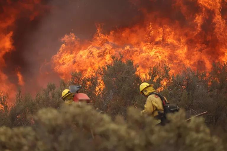 Two firefighters in the forefront surrounded by trees, with a blazing red forest fire behind them