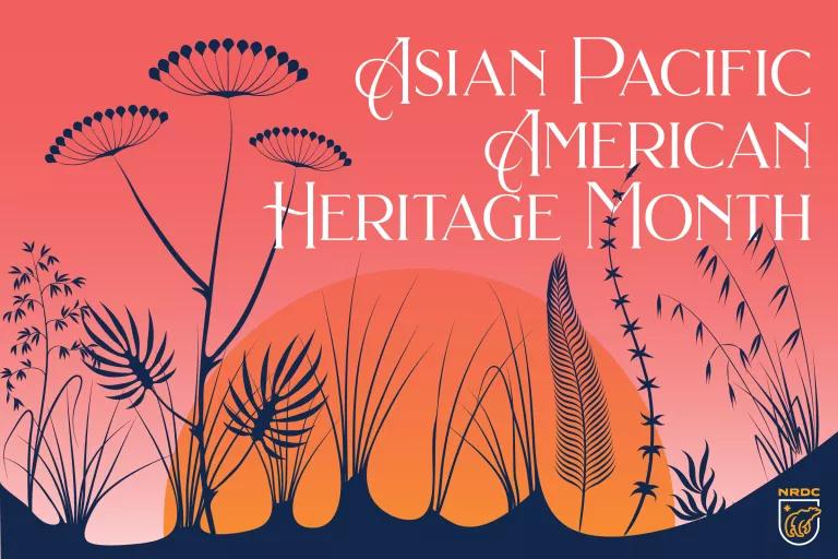 An illustration that says "Asian Pacific American Heritage Month"