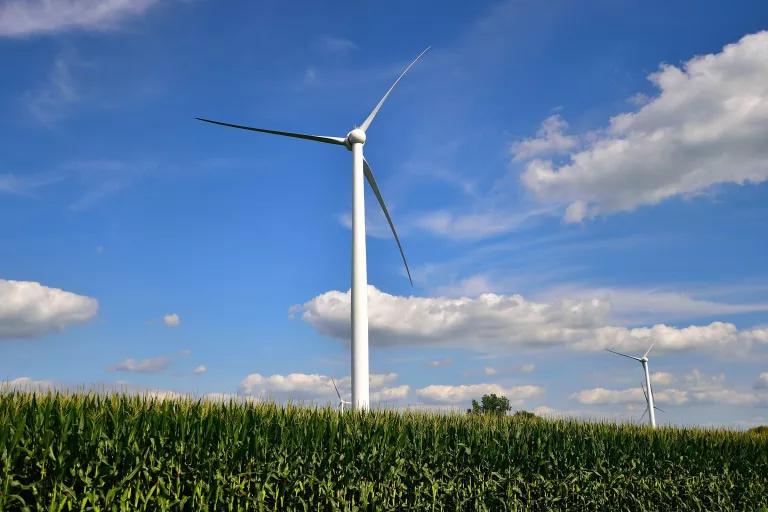 A wind turbine stands in a field