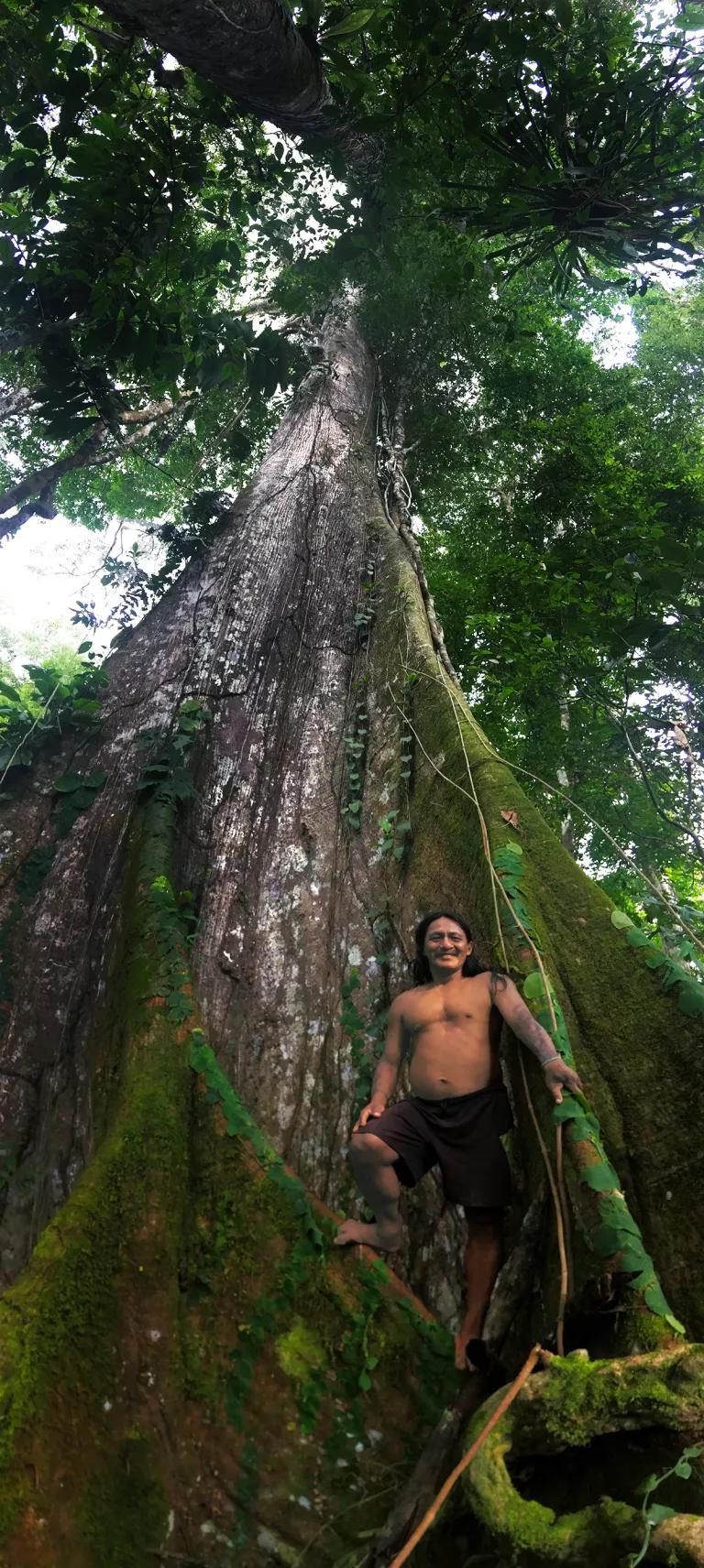 A man stands at the base of a tall tree trunk