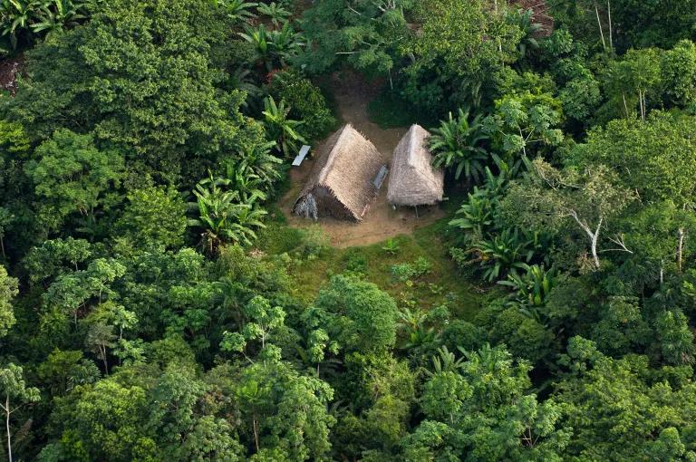 An aerial view of two thatched-roof shelters in the middle of a forested area