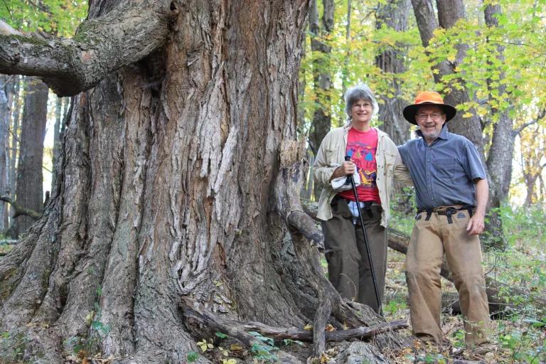 Two people standing next to the trunk of a giant tree