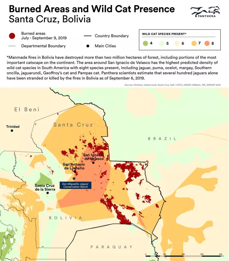 A map titled "Burned Areas and Wild Cat Presence, Santa Cruz, Bolivia"