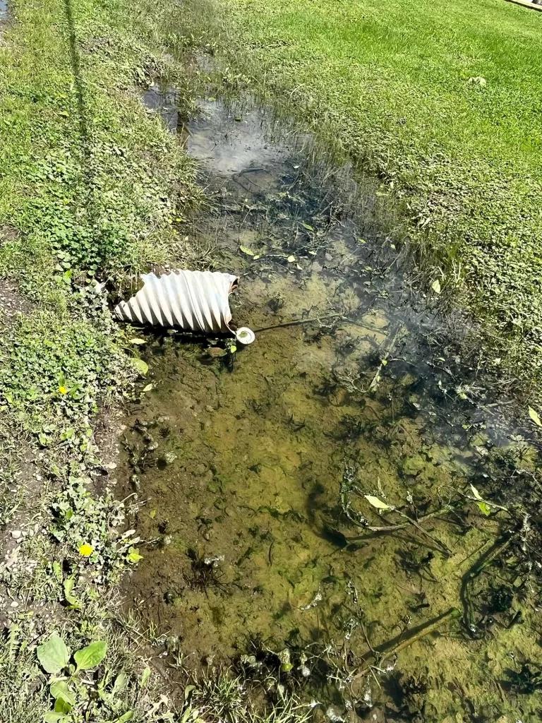 Sewage in stormwater ditch 2022