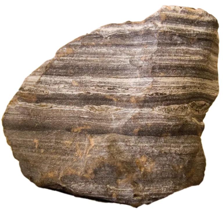A close-up of a striated section of brown rock