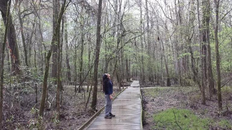 Author at Congaree National Park, SC