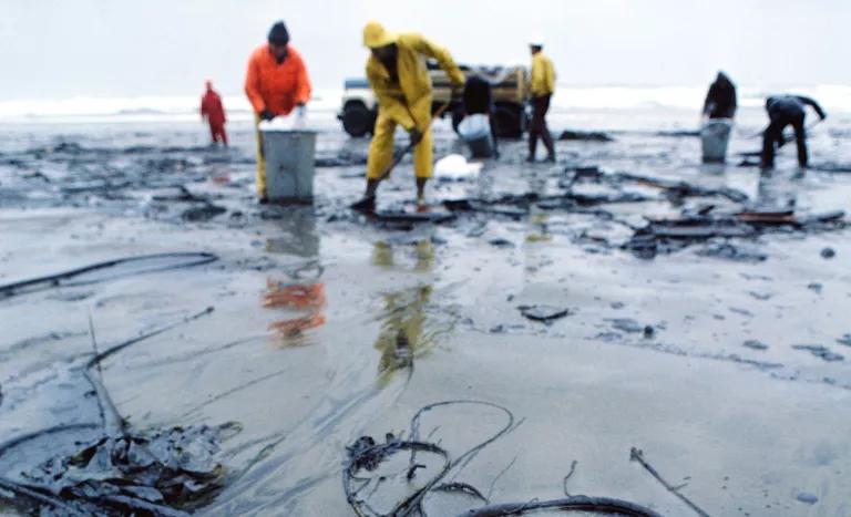 Workers in protective gear clean oil off a sandy beach