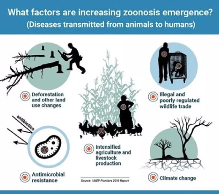 Zoonosis emergence factors