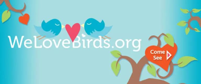 welovebirds.org