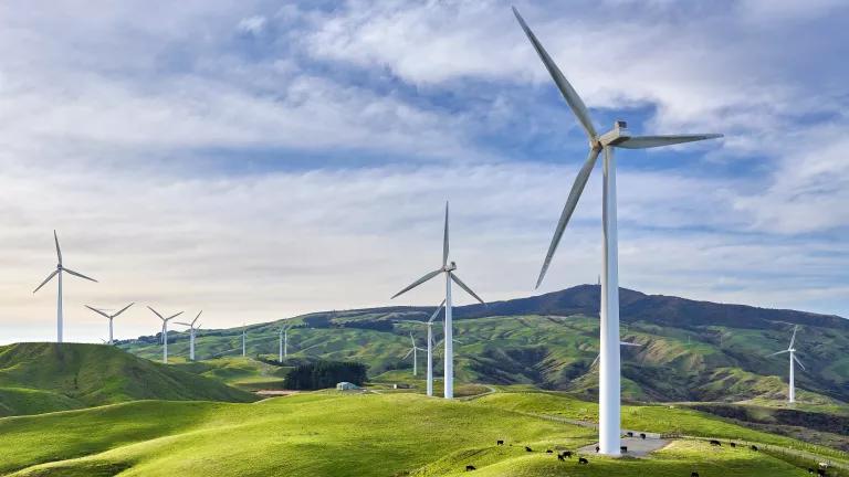 A scenic view of the Te Apiti Wind Farm in New Zealand
