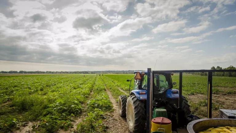 A tractor makes a U-turn at the end of a row while pulling a processing trailer with a rinse tub and boxes for freshly harvested squash, at Kirby Farms in Mechanicsville, Virginia, on September 20, 2013. 

200 acres of the farm are devoted to eggplant, spinach, beets, tomato, Jalapeno peppers, melons and a variety of greens. Soybeans and small grain are grown on the remaining 300 acres.