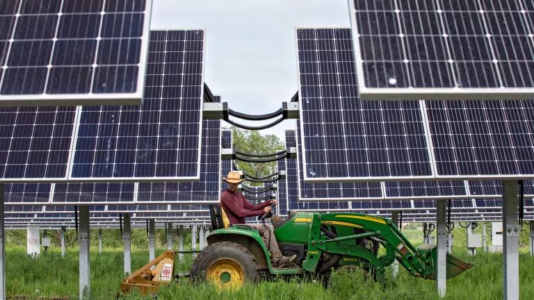 A tractor drives between solar panels raised above the ground in a grassy field