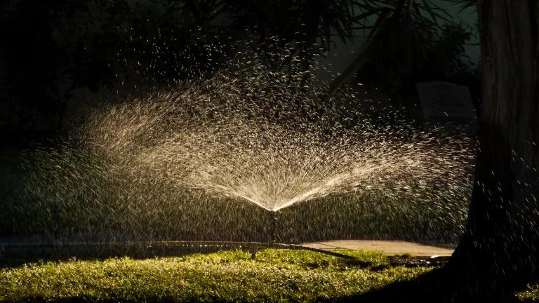 A sprinkler watering a lawn, backlit by sunlight