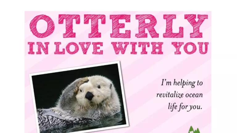 Otterly in love with you