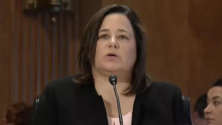 Nancy Beck testifying at a Senate hearing