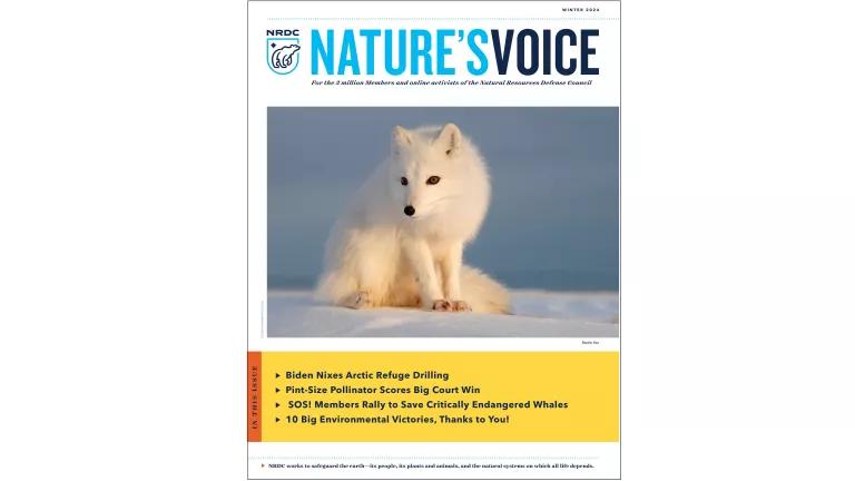 Cover image of the Nature's Voice publication