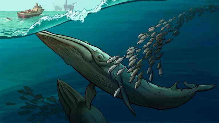 An illustration of two whales swimming next to a school of fish below water with ships sailing past on the surface