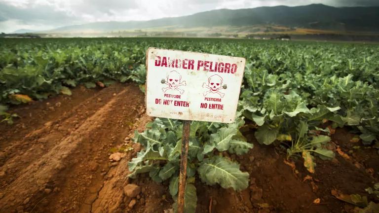 A bilingual pesticide warning sign in English and Spanish, posted in a field of crops on a California farm
