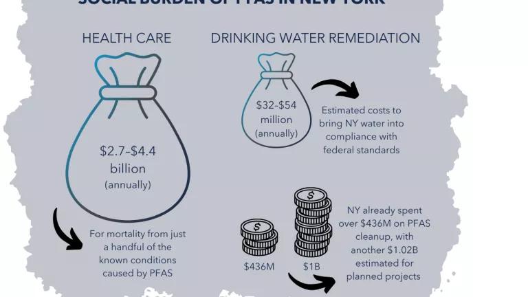 A graphic titled "Social Burden of PFAS in New York"