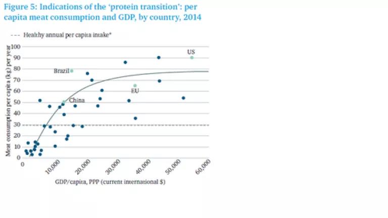 Chatham House meat consumption graph.png