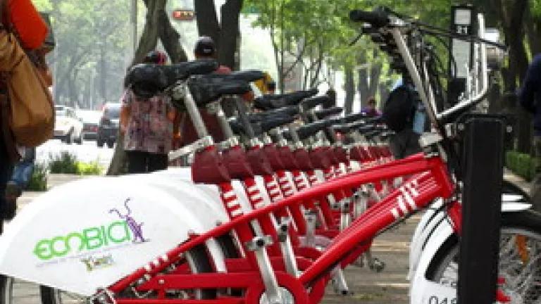 DF - EcoBici.JPG