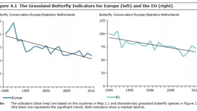 EEA butterly survey trend graph