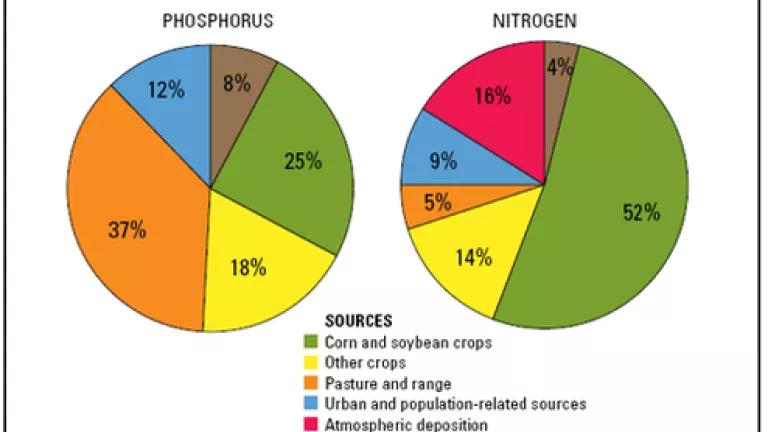 Nutrient flows to Gulf