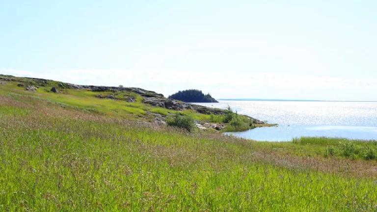 Ft. Chipewyan Shore 7-09 credit J Henry Fair.jpg