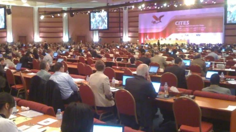 CITES 15th Conference of the Parties
