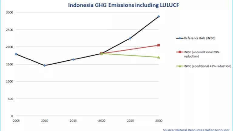 Indonesia INDC.png
