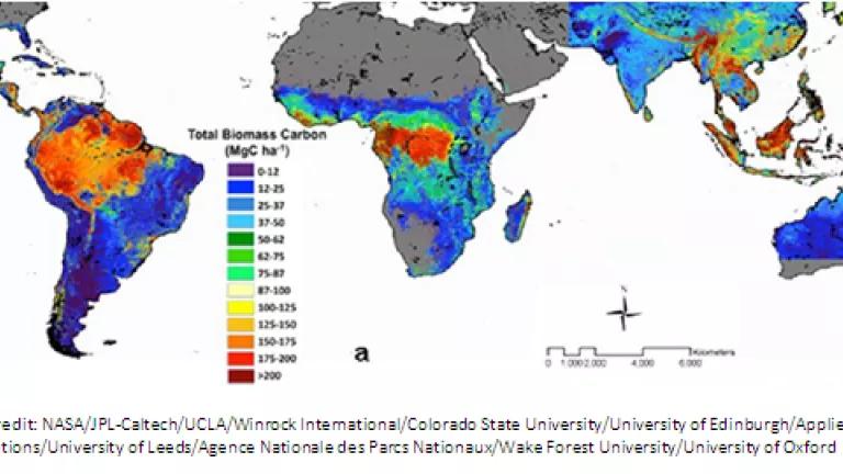 New map from NASA that shows how much carbon is stored in the world's forests and how much carbon is at risk of deforestation