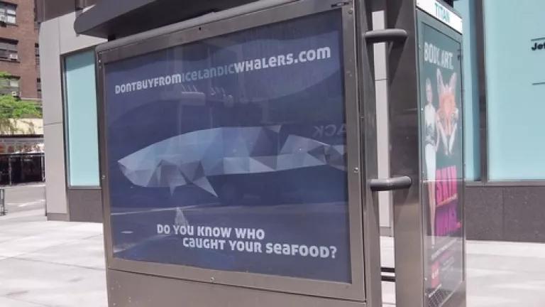 NYDontbuylargead1.jpg