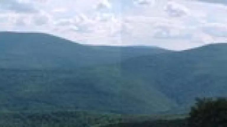 Panorama of East Side.jpg