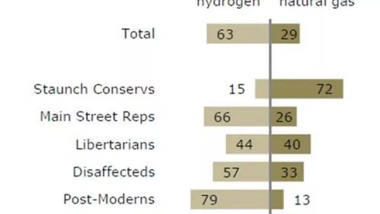 Pew Survey - energy response.jpg