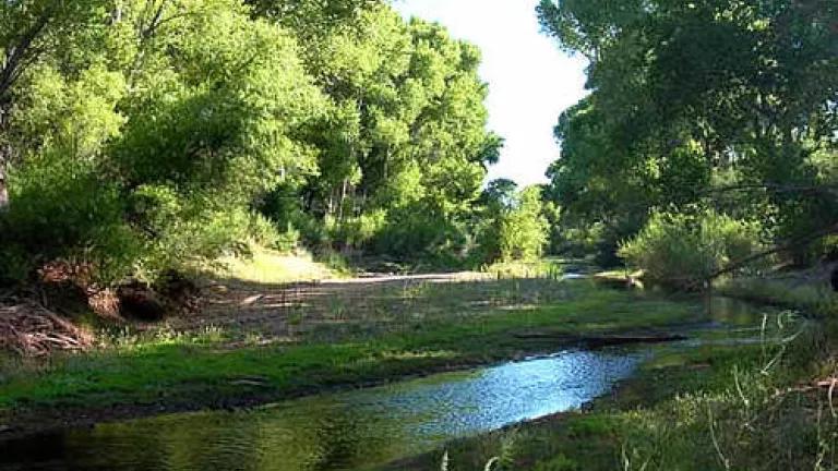 Pollution in San Pedro River AZ courtesy Tana Kappel at The Nature Conservancy.jpg